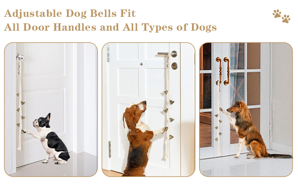 dog supplies