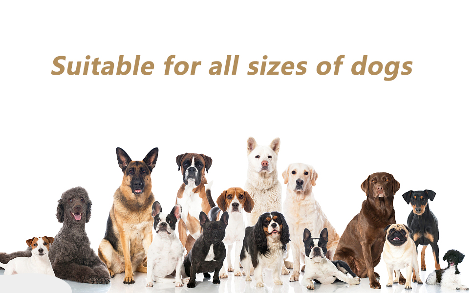 dog training bells for door handle