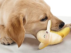 dogtoy