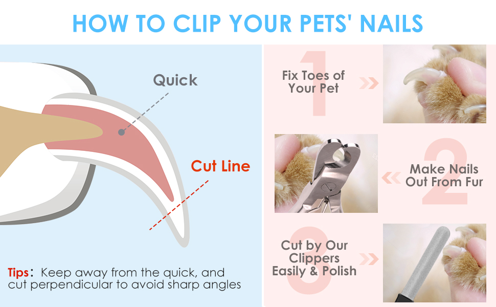 How to clip your pets' nails