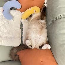 pillow for cats