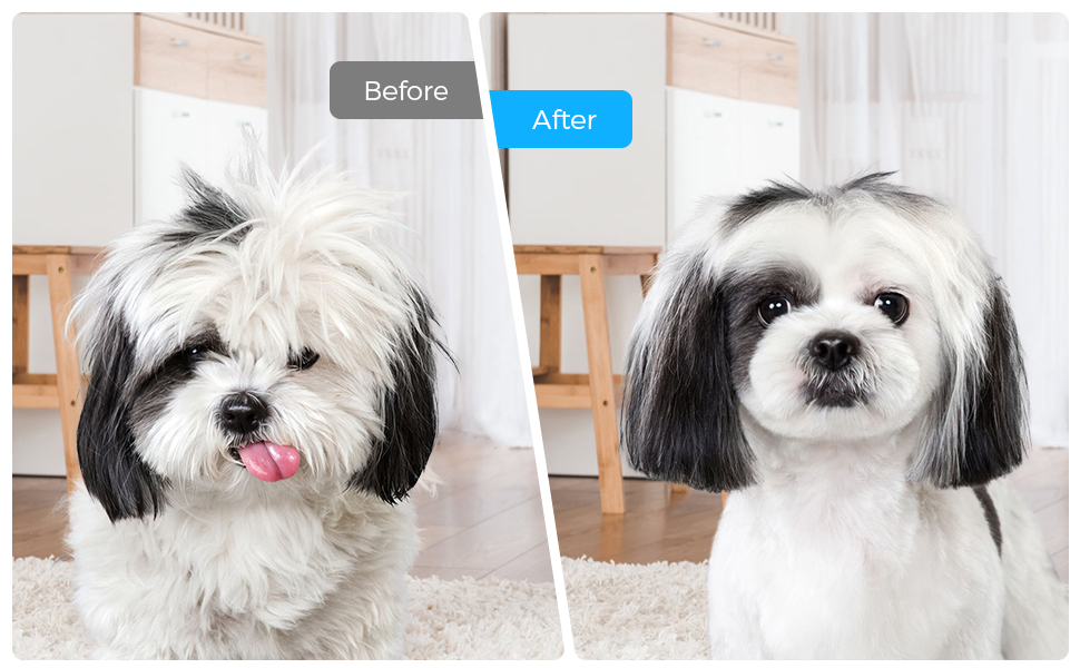 dog brush